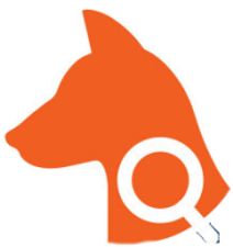 Questions Icon