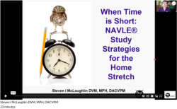 Zuku study strategy video 