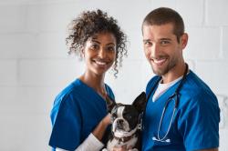 vets with dog 