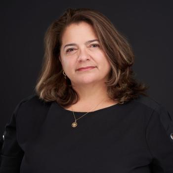 Terri DeFrancesco, DVM, DACVIM, DACVECC