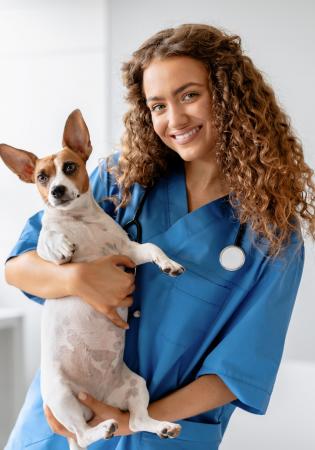 vet and dog