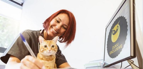 vet with cat